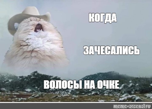 Аааааа ааааа. Орущий кот. Орущий кот в шляпе. Орущий кот Мем.