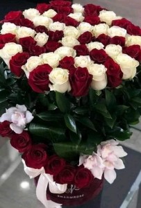 Create meme: bouquet of 101 roses, bouquet of 51 roses, a beautiful bouquet of roses