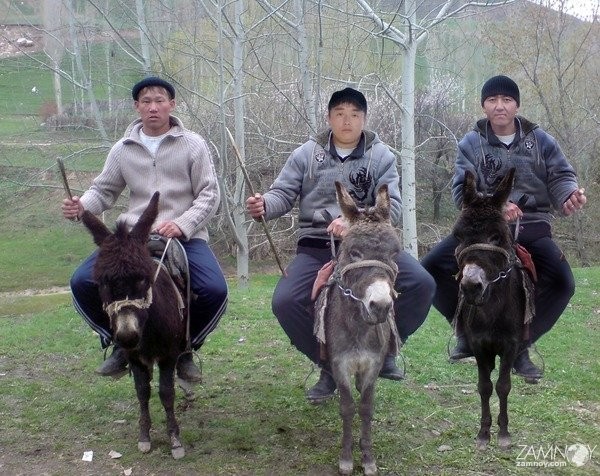 Create meme: uzbek donkey, a man on a donkey, donkey 