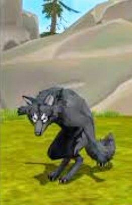 Создать мем: старый волк вилд крафт, wildcraft, wildcraft чёрный волк