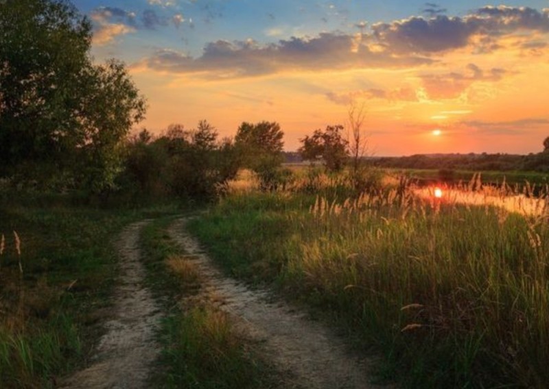 Create meme: summer sunset in the field, sunset in the village in summer, beautiful sunset in the village