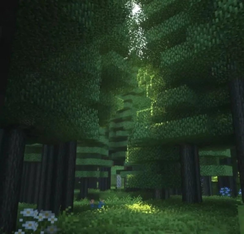 Create meme: minecraft forest, minecraft forest shaders, minecraft background