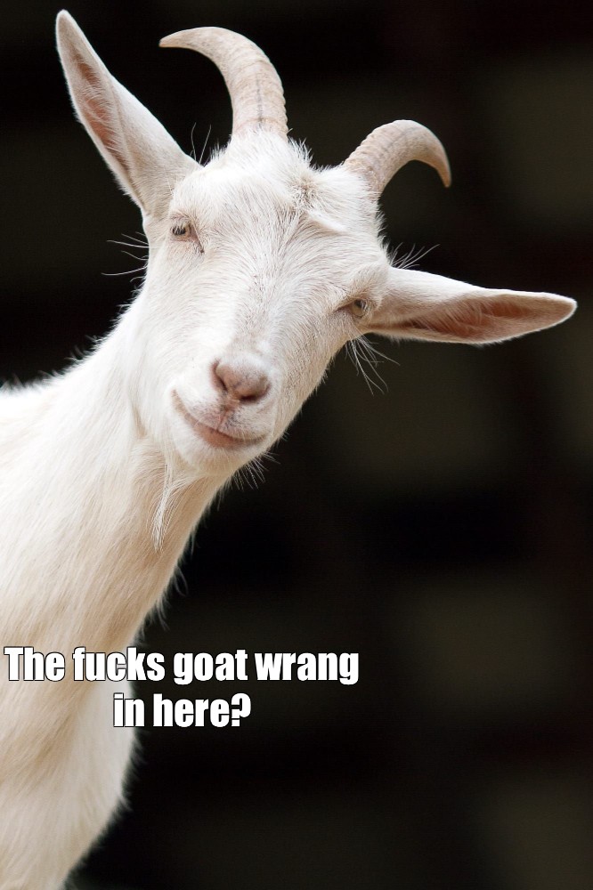 Create Meme Goat Goat Goats Milk Pictures Meme