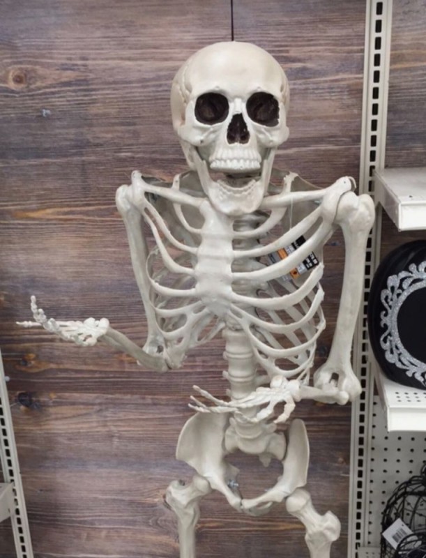 Create meme: skeleton model, human skeleton, skeleton of a bone