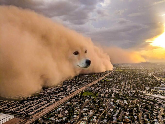 Create meme: Dog storm meme, dogicoin memes, Habub the dust storm