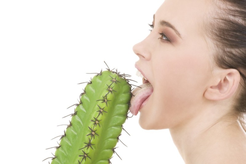 Create meme: the girl with the cactus, cactus, girl licks cactus
