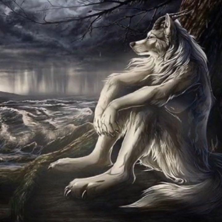 Create meme: wolf fantasy, wolf spirit, werewolves wolves