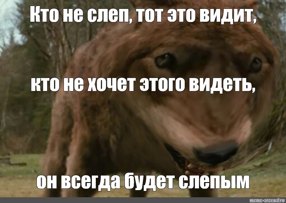 Подлиннее видел. Мем чтобы не ослепнуть. Кто не слеп тот видит. Кто увидит тот увидит. Мемы про слепых.