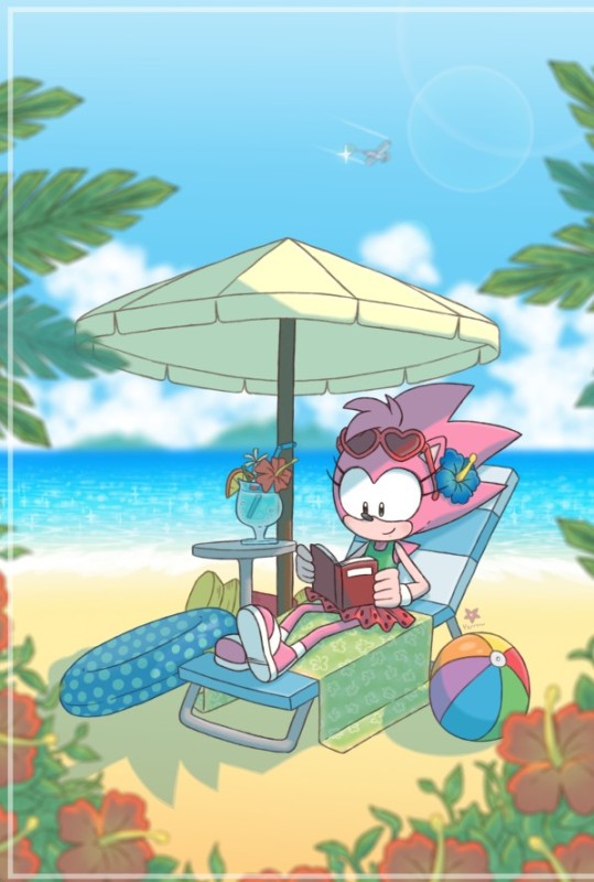 Create meme: Sonic mania amy, sonic amy, sonic 