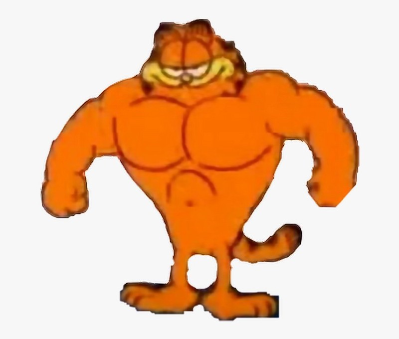 Create meme: inflated Garfield, garfield is a jock, garfield the cat is a jock