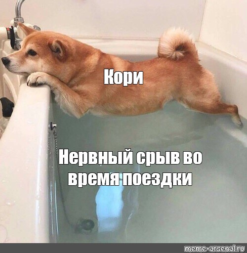 Создать мем: null