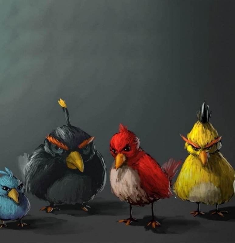 Create meme: angry birds, funny birds, angry bird art