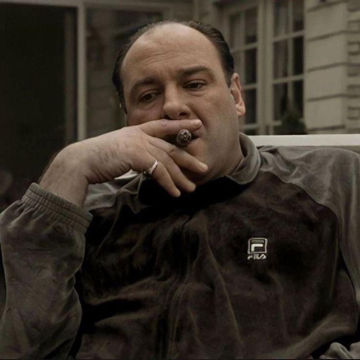 Создать мем: сериал клан сопрано, джеймс гандольфини тони сопрано, tony soprano