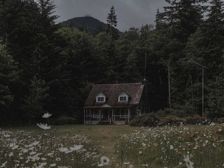 Create meme: a lonely house in the forest, A cute house in the woods, a house in the forest