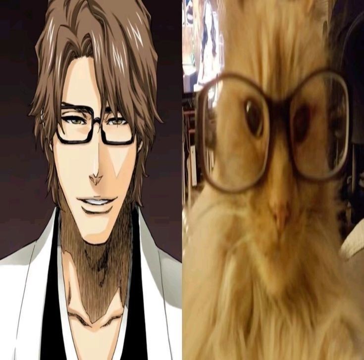 Создать мем: айзен, aizen bleach, соскэ айдзэн