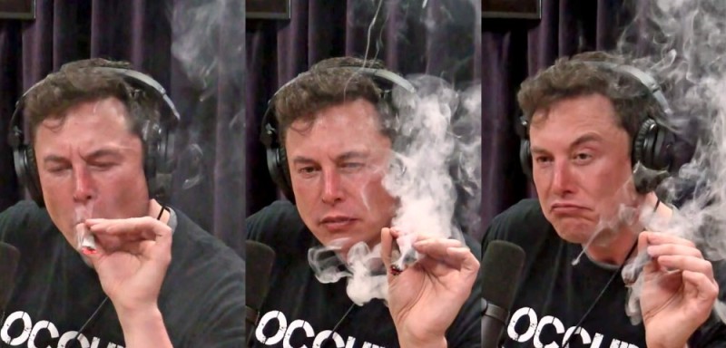 Create meme: Elon Musk with a cigar, Elon musk with pot, Elon musk smokes weed