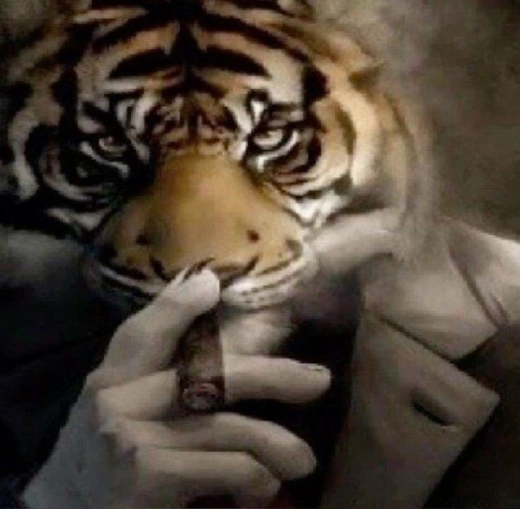 Create meme: tiger in a jacket, The brutal tiger, tiger in a suit