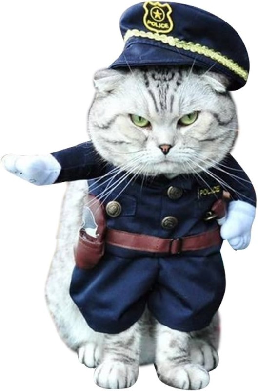 Создать мем: кот в полицейской форме, костюм полицейский для кота, кот в костюме