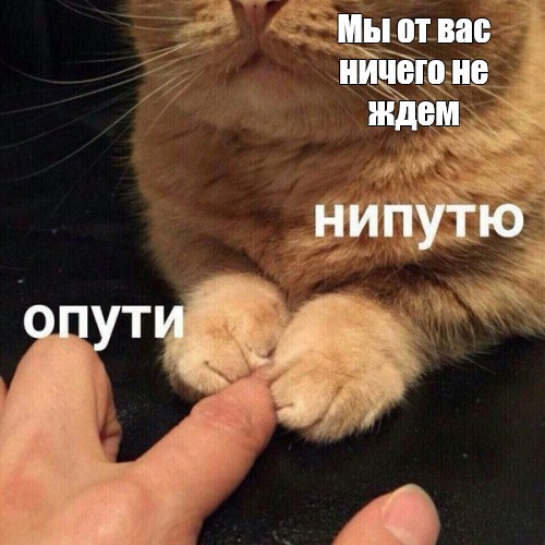 Создать мем: null