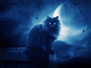 Create meme: tattoo cats night moon, cat mystic, mystical cat art