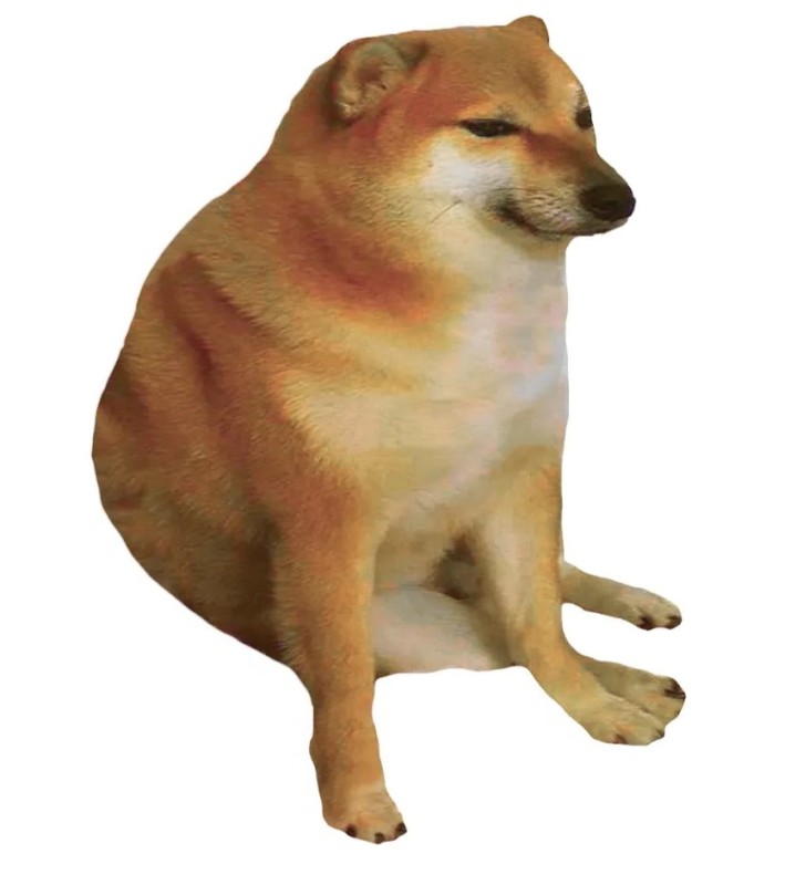 Create meme: shiba inu, siba the dog, shiba inu meme