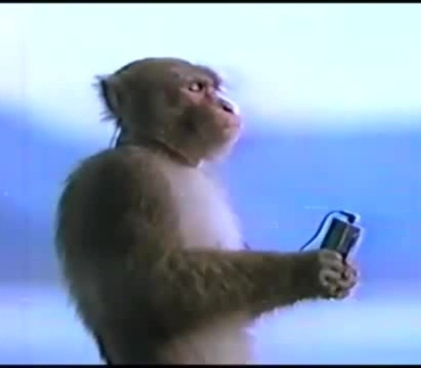 Create meme: a monkey with a player, monkey with headphones