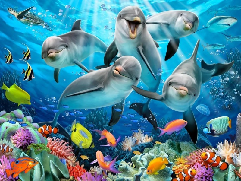 Create meme: puzzle 3D 63 dolphin delight, And dolphins, wallpaper marine life