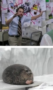 Create meme: Charlie day meme, seal meme, seal