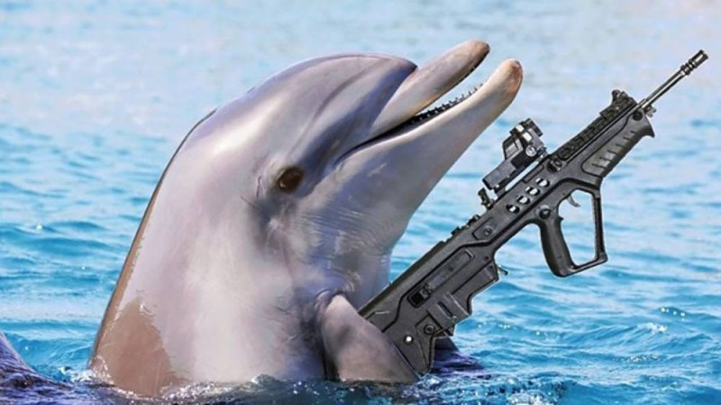 Создать мем: боевые дельфины юмор, бронированный дельфин, боевые дельфины