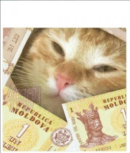 Создать мем: кошки, кот, кот и 100 рублей