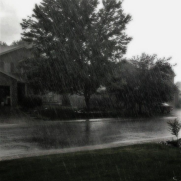 Создать мем: люблю грозу, летний дождь, пейзажная фотография