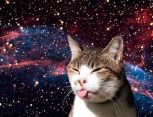 Create meme: space, cat, cat space