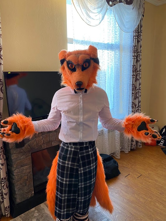 Create meme: Fox costume, fursuit, Fox 