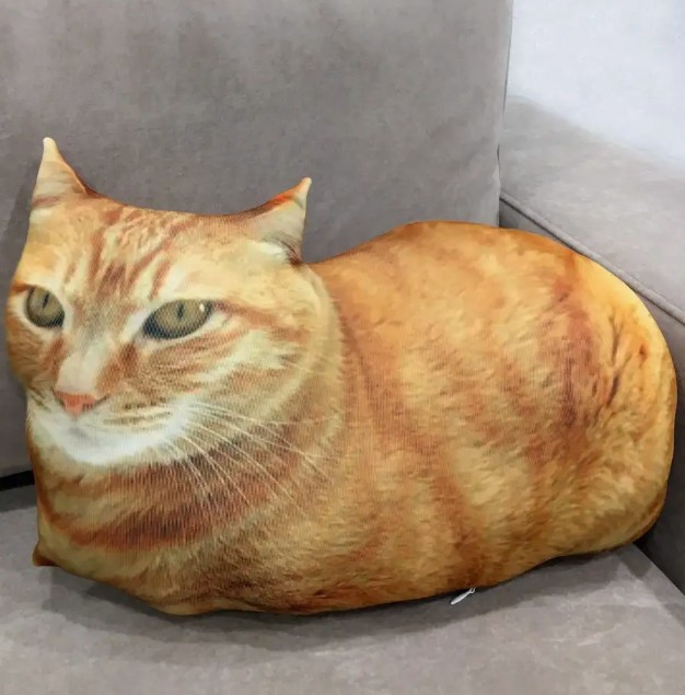 Create meme: red fat cat, pillow cat, cat 