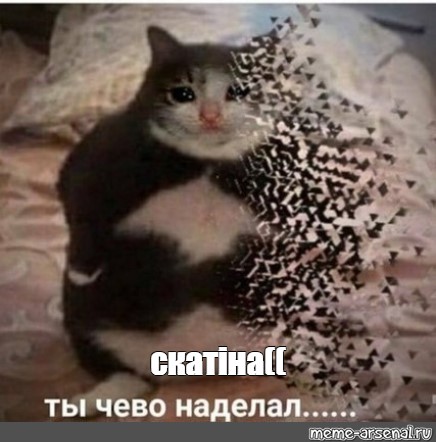 Создать мем: null