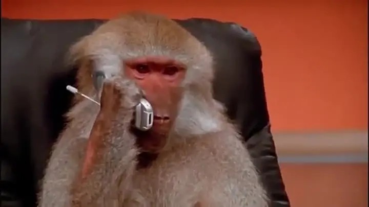 Create meme: smallpox of monkeys, the monkey is calling, funny jokes 