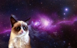 Create meme: Grumpy cat space