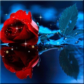 Создать мем: красивые розы анимация, спокойной ночи красивые, спокойной ночи красивые пожелания