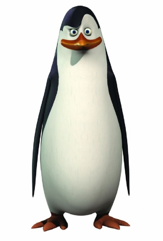 Создать мем: пингвин на белом фоне, мадагаскар пингвины, пингвины из мадагаскара маленькие