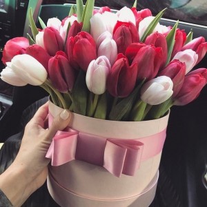 Create meme: a bouquet of tulips photos instagram