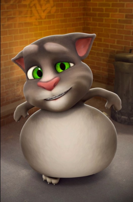 Create meme: talking tom cat, tom talking tom, game talking Tom