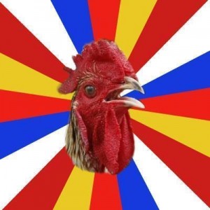 Create meme: hen, chicken, rooster