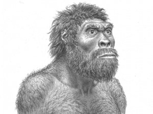 Create meme: hominids, homo erectus, a portrait of ancient man