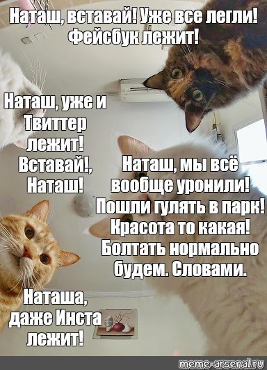 Будил наташу фото