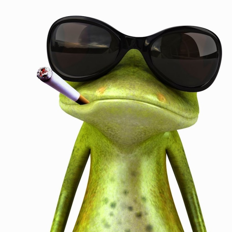 Create meme: cool avatar, frog with glasses, humor is funny