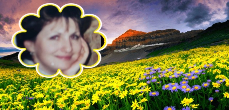 Create meme: google play, indian park "valley of flowers", flowers mountain field