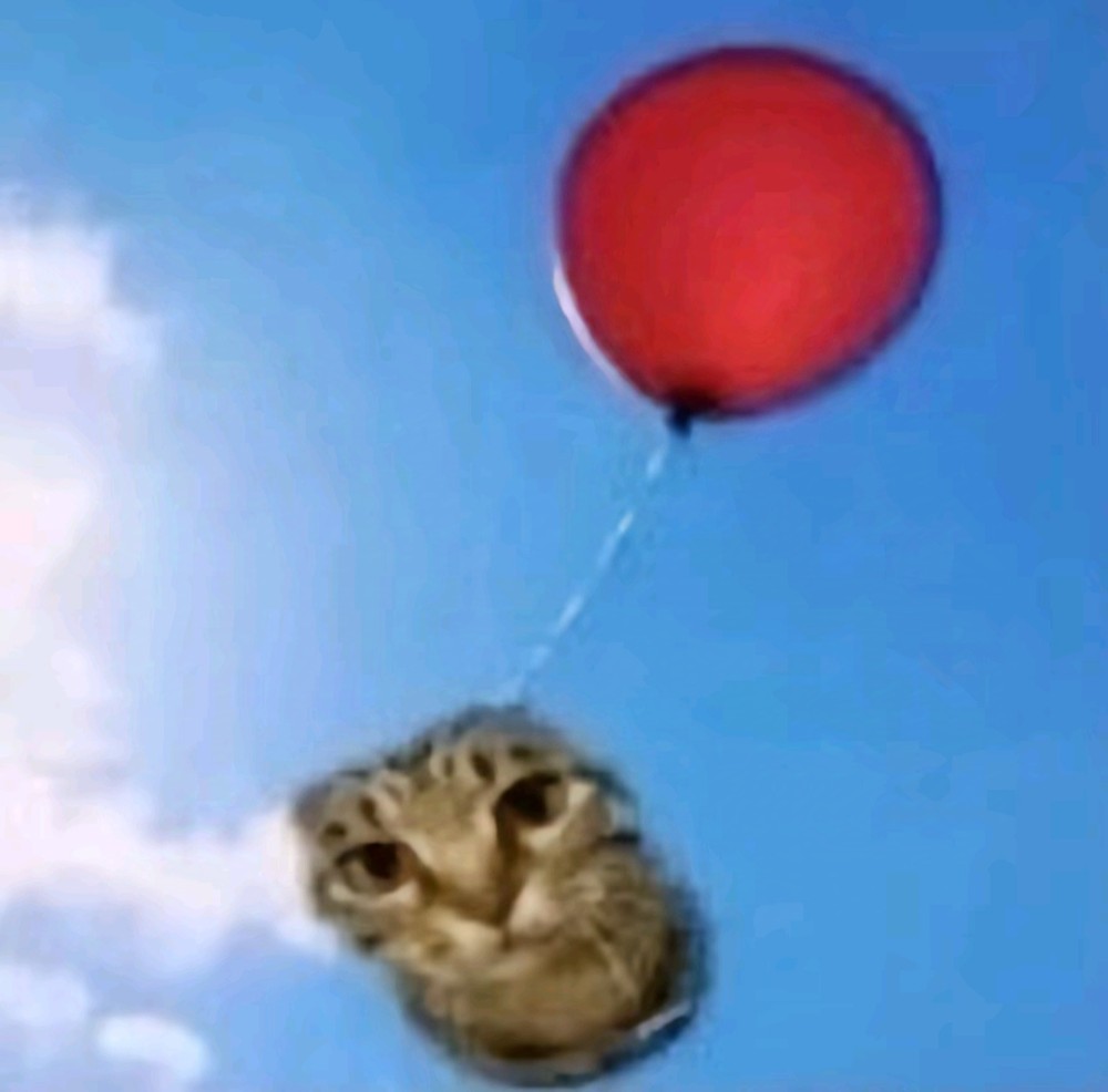 Create meme: cat , a cat with balls, balloons with cats