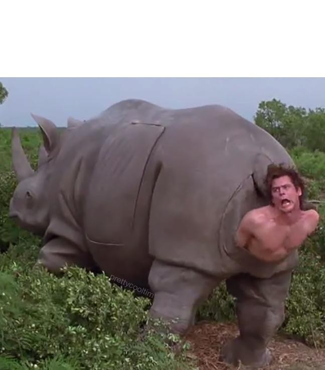 Создать мем: эйс вентура 2 носорог, джим керри носорог, эйс вентура 2
