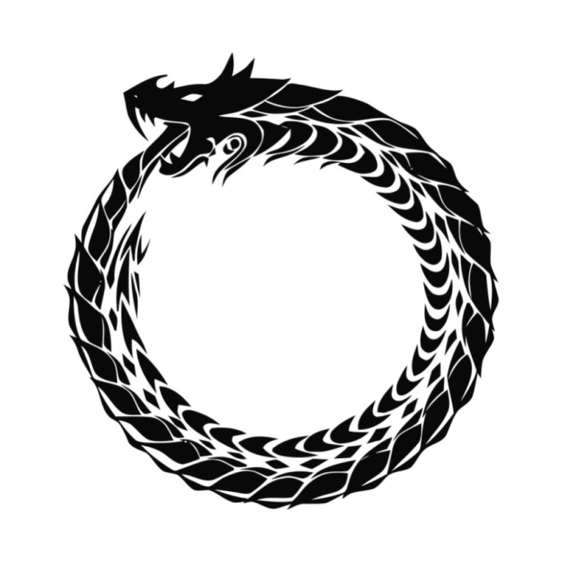 Create meme: The ouroboros symbol, The Chinese dragon ouroboros, ouroboros the meaning of the symbol