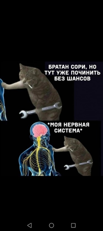 Create meme: nervous, there is no way to fix the cat, nervous systems